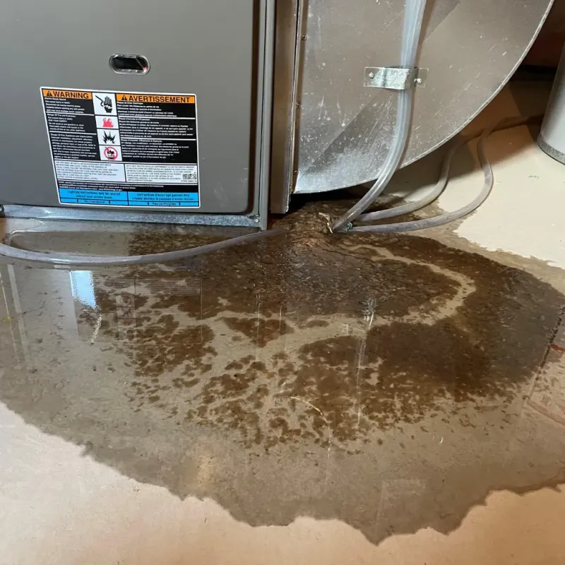 Appliance Leak Cleanup in West Lafayette, OH